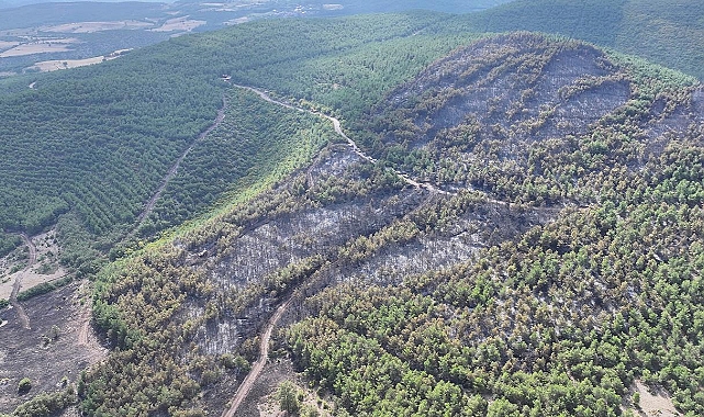 Tokat’ta yaz aylarında ormanlara girişe kısıtlama getirildi