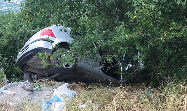Yoldan savrulan otomobil ağaca çarparak durabildi