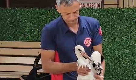 Tek ayaklı leyleği havada yakaladı, itfaiye erinin refleksi leyleğin hayatını kurtardı