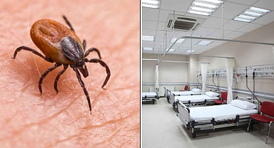 Tokat'ta 7 kişi KKKA hastalığı teşhisiyle tedavi görüyor