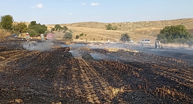 Balya makinesinden çıkan kıvılcım 10 dönüm araziyi kül etti