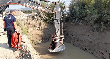 Gölete düşen inekler kepçe ile kurtarıldı
