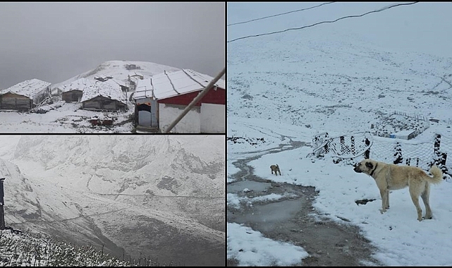 Rize, Artvin ve Ardahan'da yüksek kesimlere kar yağdı
