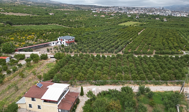 Salamura yaprak dondan etkilenmedi