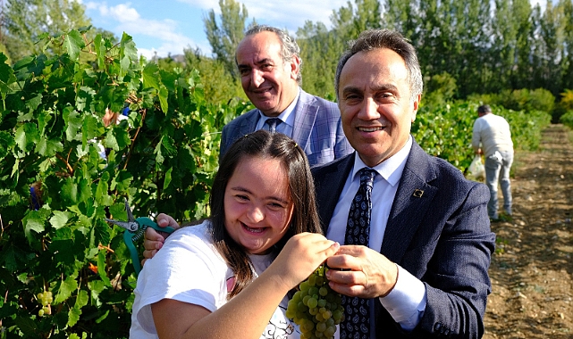 TOGÜ’de gönül bağlarında hasat şenliği coşkusu