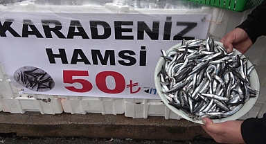 Denize kıyısı olmayan şehirde hamsinin kilosu 50 TL’ye düştü, vatandaş poşet poşet aldı