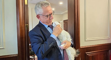 Makamında kedi besleyen Başkan Arslan, hayvan dostu projeleriyle de örnek oluyor