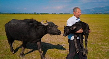 Tokatlı fırın ustasının Paris'teki ödül sevinci vize engeline takıldı