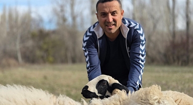 Kesmek için aldığı koyunlara şimdi antrenörlük yapıyor