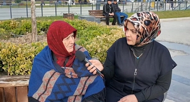 Sokak hayvanlarına yeni uygulama: Tokat’ta vatandaşlar ne diyor?