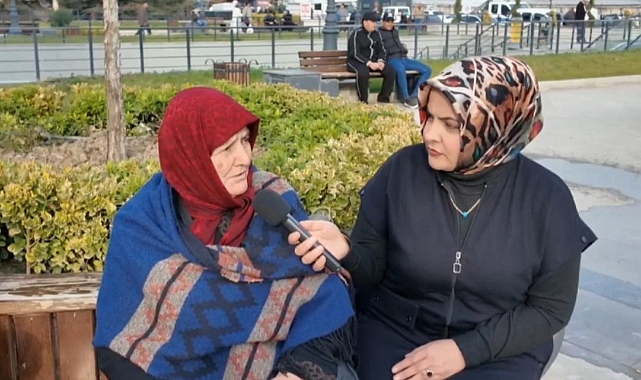 Sokak hayvanlarına yeni uygulama: Tokat’ta vatandaşlar ne diyor?