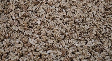 TKDK'den aldığı destekle kurduğu tesiste işlediği cevizleri 20 ile gönderiyor