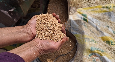 TMO'nun stokları gelecek hasat dönemine kadar Türkiye'nin ihtiyaçlarını karşılayacak seviyede