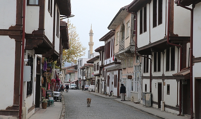 Zamana direnen tarihi Zile Evleri turizme kazandırılıyor