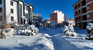 Başçiftlik ilçesinde kar yağışı etkisini sürdürüyor