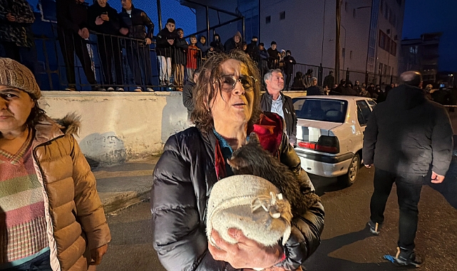 Kediler üşümesin diye yakılan soba faciaya dönüştü: İki ev küle döndü