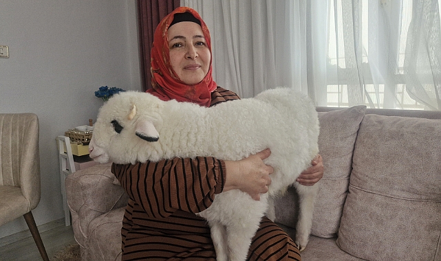 Otizmli oğlunun isteği üzerine aldıkları kuzuya evde bebek gibi bakıyorlar