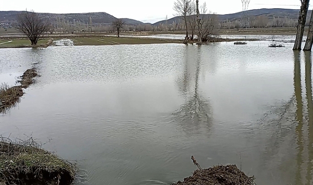 Artova'da dereler taştı; ekin tarlaları sular altında kaldı