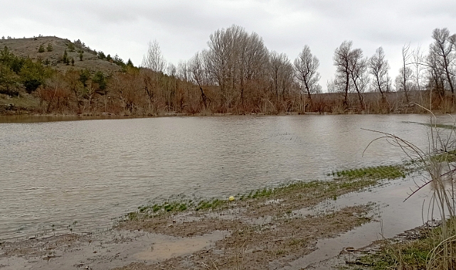 Çekerek ırmağı taştı; yollar ve tarlalar sular altında kaldı