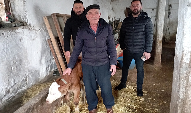 Hasta buzağıya evinde baktı
