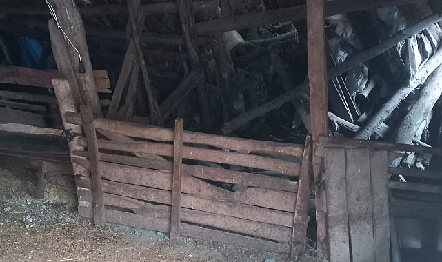 Heyelan ahırı yuttu