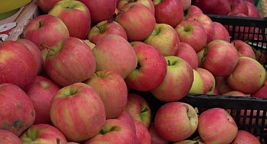 Misket elma yok satıyor: Taklitlerinden yıldız testiyle ayırt ediliyor