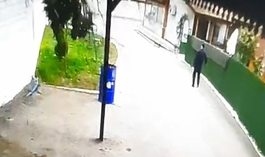 Niksar'da fırtınanın devirdiği ağacın altında kalmaktan son anda kurtuldu