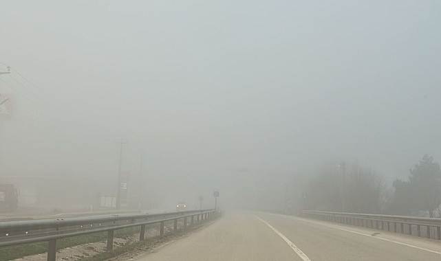 Tokat'ta sis etkili oldu