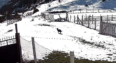 Zile'de belgeselleri aratmayan köy