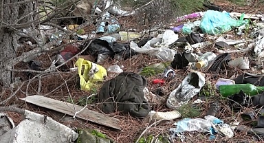 Amasya'da orman çöplüğe dönüştü: