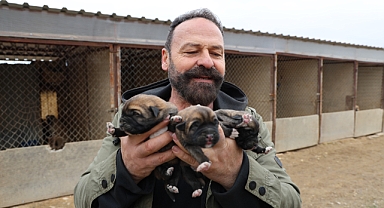 Mevsimin ilk kangalları dünyaya gözlerini açtı, karakterleri böyle ortaya çıkıyor