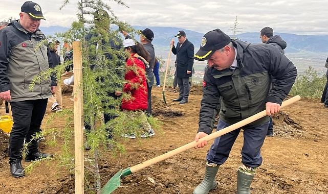 Niksar’da Orman Haftası'nda fidanlar toprakla buluşturuldu