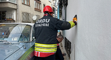 Ordu'da bodrum kattaki kedi sesi ekipleri harekete geçirdi