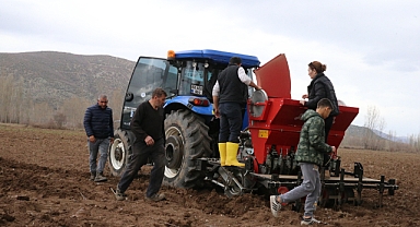 Tokat sarımsağının üretiminin artırılması ve markalaşması için çalışma yürütülüyor