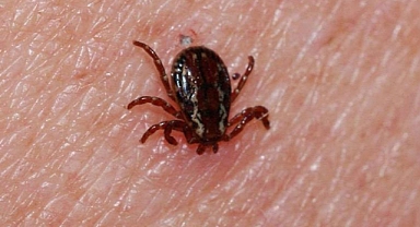 KKKA hastalığı şüphesiyle tedavi gören tokatlı 21 yaşındaki genç hayatını kaybetti