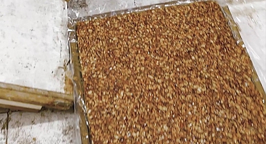 Kötü koku üzerine girilen evde mide bulandıran şartlarda lokum ve cezerye üretildiği ortaya çıktı