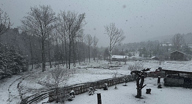 Niksar'da kar yağışı etkili oldu