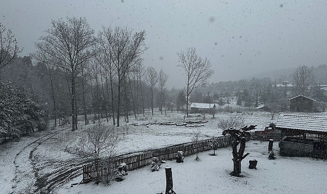 Niksar'da kar yağışı etkili oldu