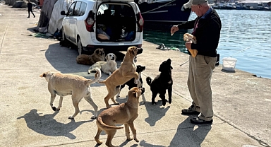Olta tutkunu vatandaştan sokak köpeklerine şefkat
