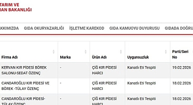 Ordu'da kır pidesi harcından 'kanatlı eti' çıktı