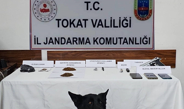 Reşadiye'de jandarmadan zehir tacirlerine operasyon: 5 gözaltı
