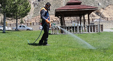 Yaz aylarının korkulu rüyası kenelere karşı hem havadan ve hem karadan mücadele başladı