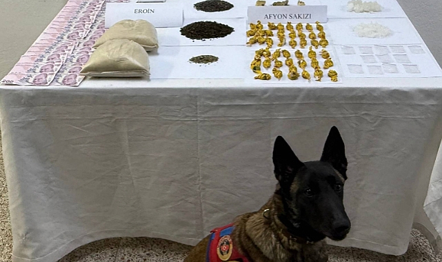 Yeşilyurt'ta uyuşturucu operasyonunda 1 zanlı yakalandı