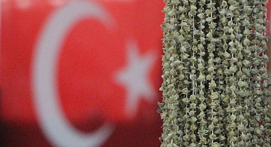 Amasyalı bamyacılar Uganda bamyasını ombudsmana şikayet etti