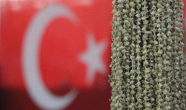 Amasyalı bamyacılar Uganda bamyasını ombudsmana şi