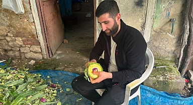 Enginar soyarak ayda 240 bin lira kazanıyor
