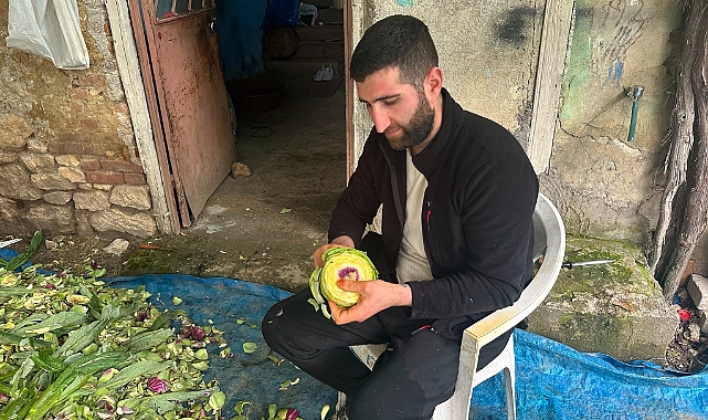 Enginar soyarak ayda 240 bin lira kazanıyor