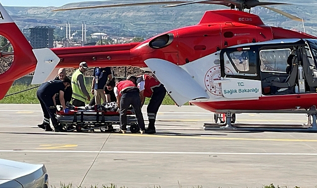 Hayvanlarını otlatırken ayı saldırısına uğradı, Kangallar imdadına yetişti