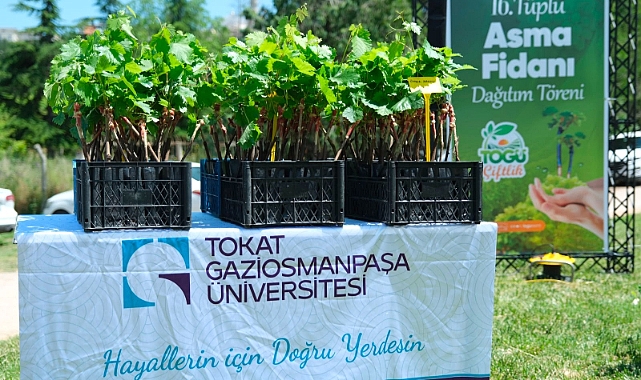 TOGÜ'de üretilen 2 bin tüplü aşılı asma fidanı üreticilere dağıtıldı