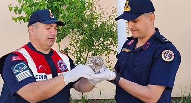Yozgat’ta yavru baykuşa Jandarma ekipleri şefkat eli uzattı